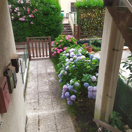Apartment Santa Maria 博尔塞纳 外观 照片