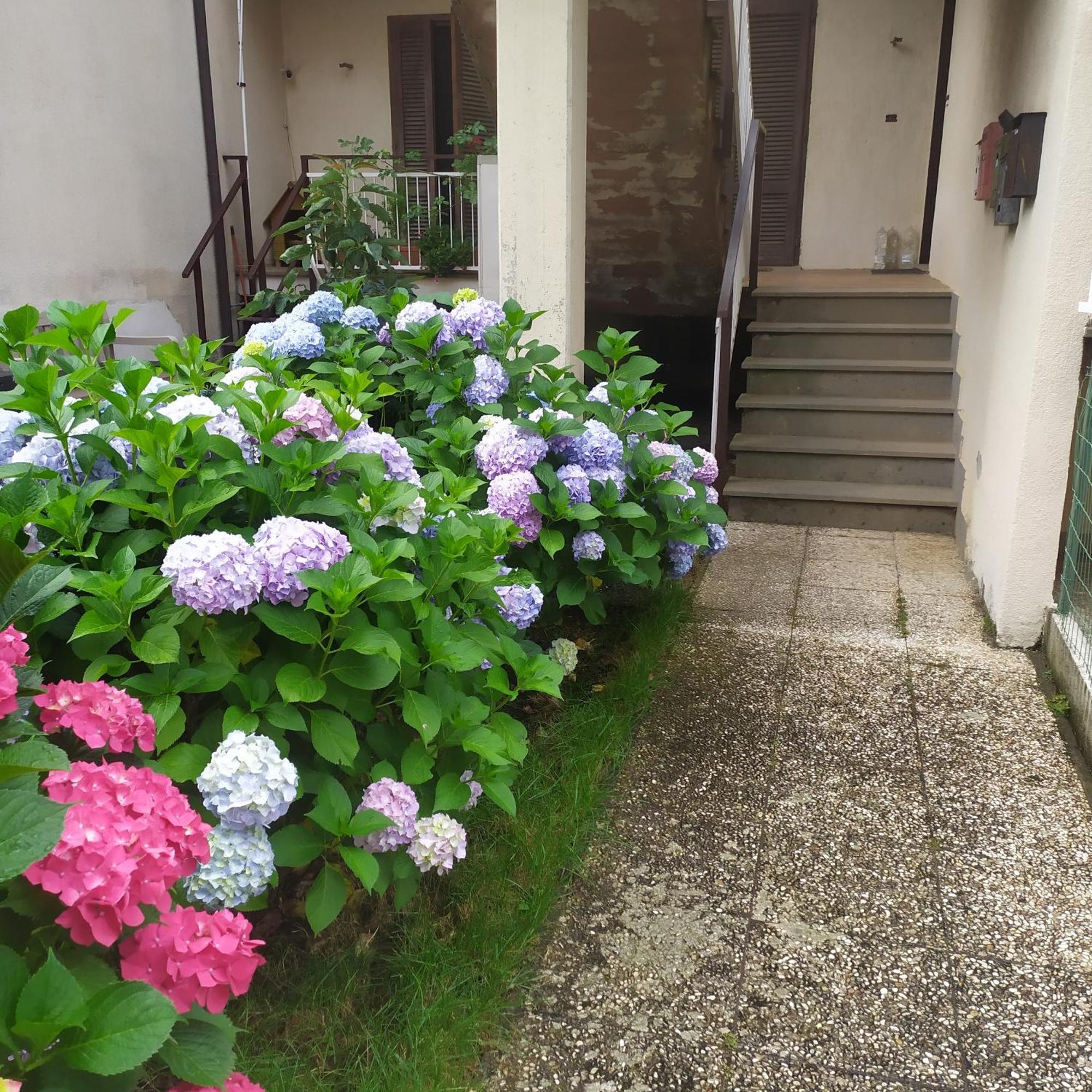 Apartment Santa Maria 博尔塞纳 外观 照片